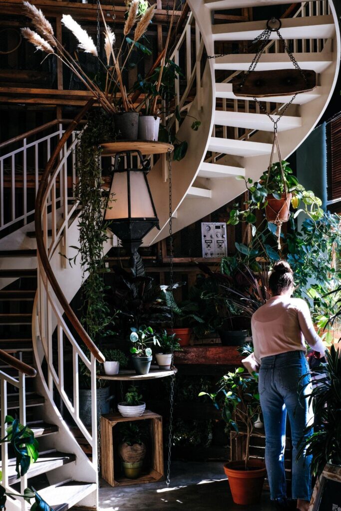 staircase with plants around