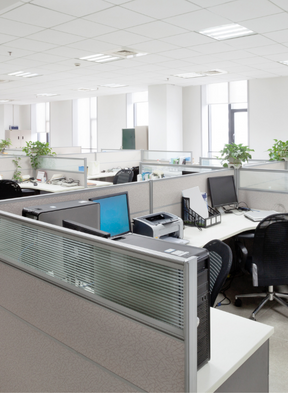 Services 8 Office Renovation